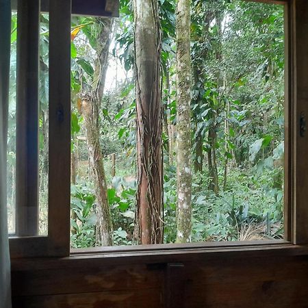 Sitio Das Bromelias Cachoeira Do Tombador Ubatuba Kültér fotó