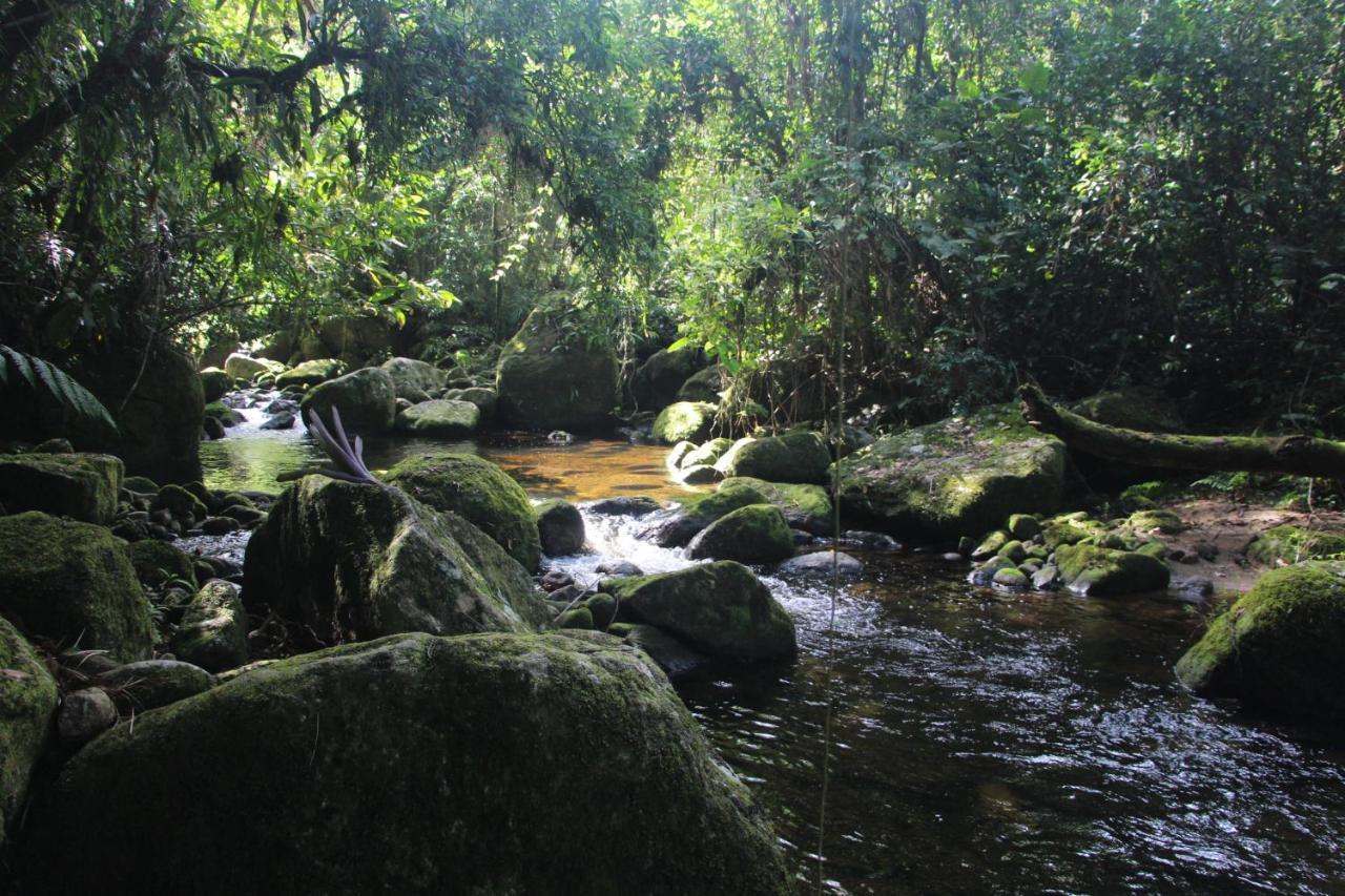 Sitio Das Bromelias Cachoeira Do Tombador Ubatuba Kültér fotó