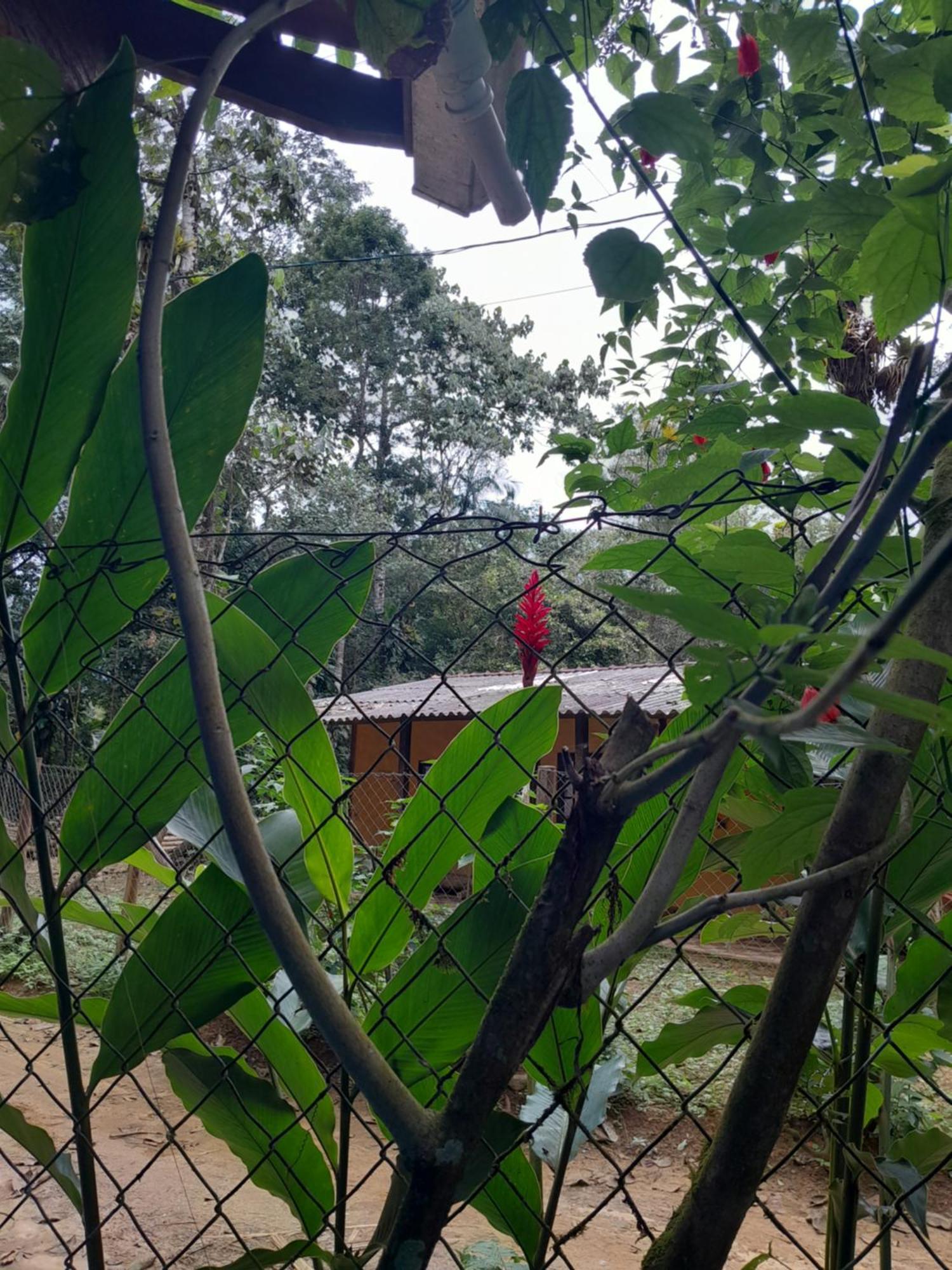 Sitio Das Bromelias Cachoeira Do Tombador Ubatuba Kültér fotó
